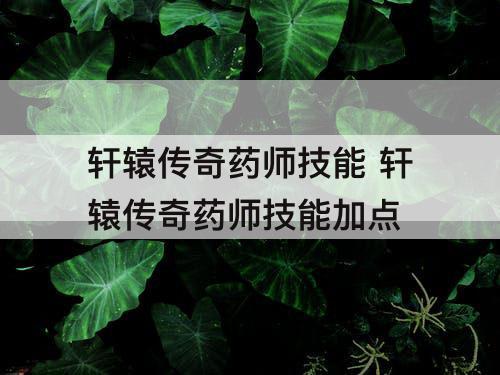 轩辕传奇药师技能 轩辕传奇药师技能加点