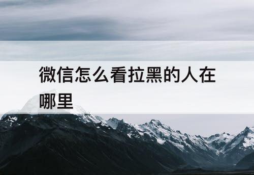 微信怎么看拉黑的人在哪里