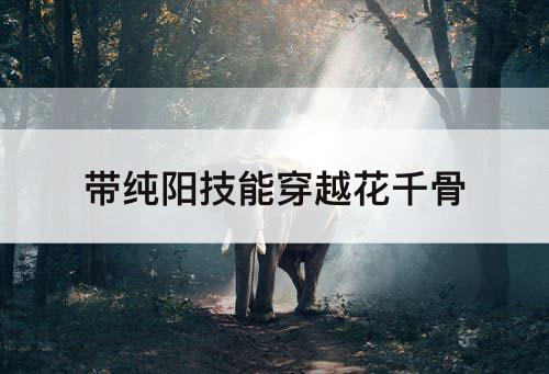 带纯阳技能穿越花千骨