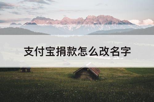 支付宝捐款怎么改名字