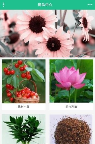 合肥苗木网  v1.0图2