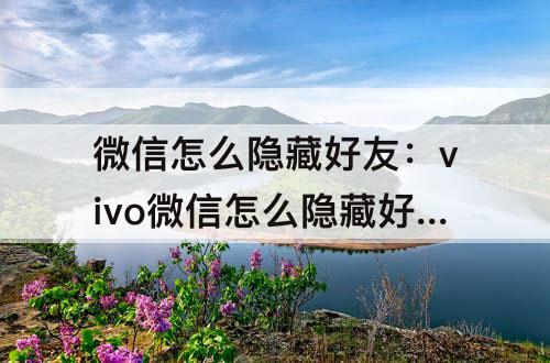 微信怎么隐藏好友：vivo微信怎么隐藏好友