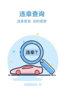 西瓜子叶二手车