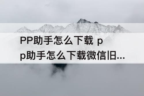 PP助手怎么下载 pp助手怎么下载微信旧版本