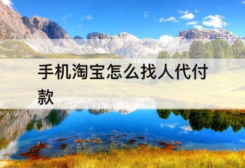 手机淘宝怎么找人代付款