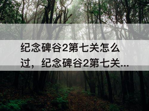 纪念碑谷2第七关怎么过，纪念碑谷2第七关怎么过图解法