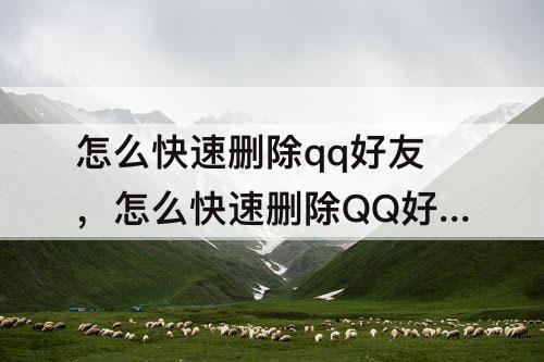 怎么快速删除qq好友，怎么快速删除QQ好友大批量
