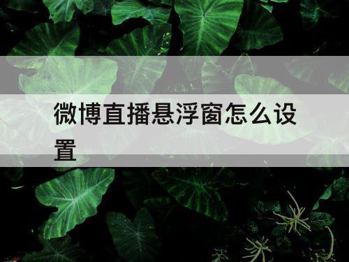 微博直播悬浮窗怎么设置