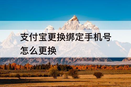 支付宝更换绑定手机号怎么更换