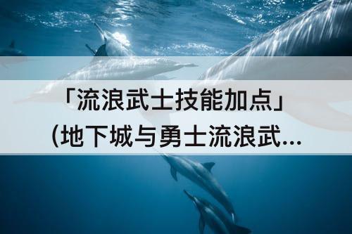 「流浪武士技能加点」(地下城与勇士流浪武士技能加点)