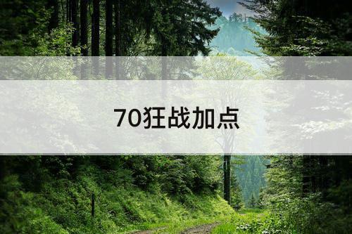 70狂战加点