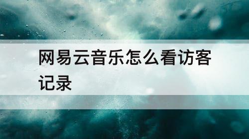 网易云音乐怎么看访客记录