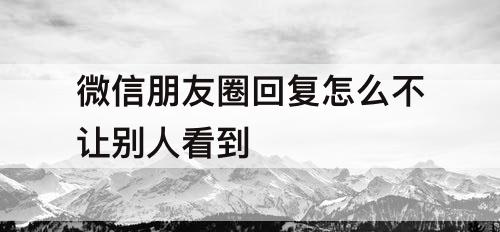 微信朋友圈回复怎么不让别人看到