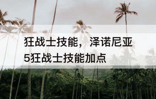狂战士技能，泽诺尼亚5狂战士技能加点