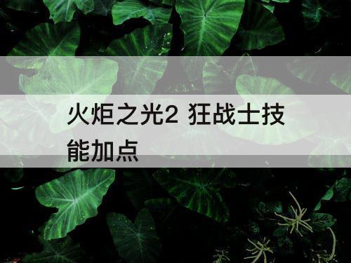 火炬之光2 狂战士技能加点
