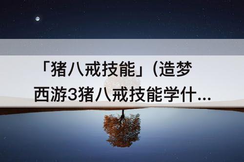 「猪八戒技能」(造梦西游3猪八戒技能学什么最好)
