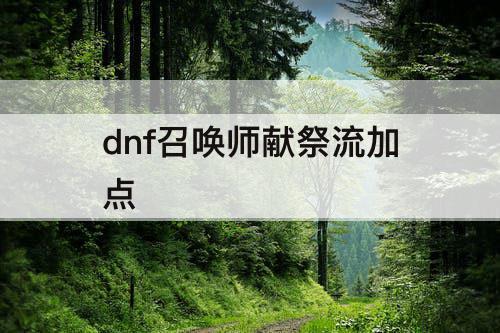 dnf召唤师献祭流加点