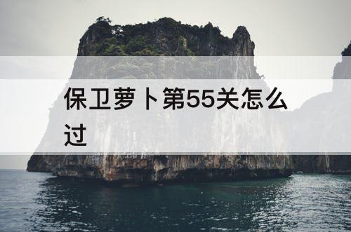 保卫萝卜第55关怎么过