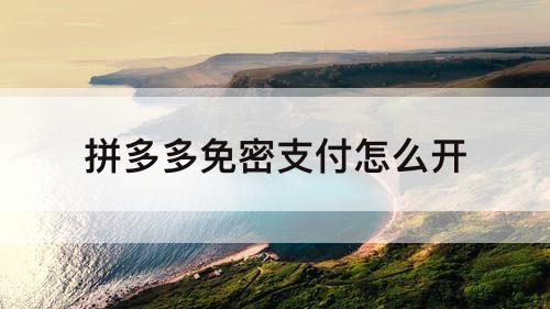 拼多多免密支付怎么开