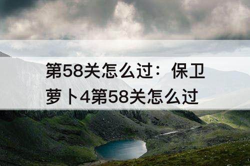 第58关怎么过：保卫萝卜4第58关怎么过