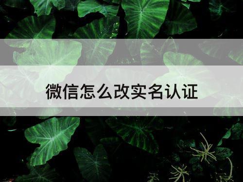 微信怎么改实名认证