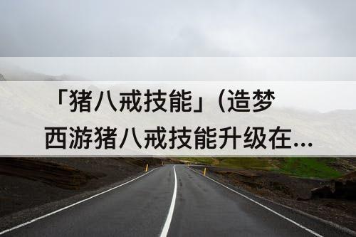 「猪八戒技能」(造梦西游猪八戒技能升级在哪打)