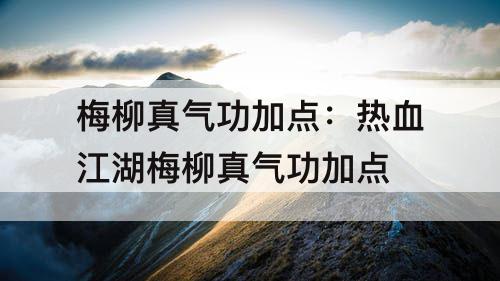梅柳真气功加点：热血江湖梅柳真气功加点