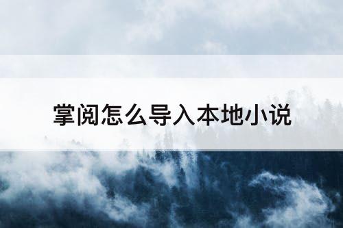 掌阅怎么导入本地小说