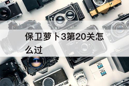 保卫萝卜3第20关怎么过