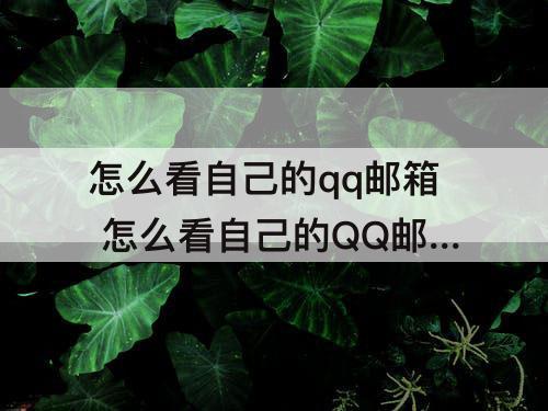 怎么看自己的qq邮箱 怎么看自己的QQ邮箱绑定了什么