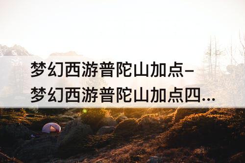 梦幻西游普陀山加点-梦幻西游普陀山加点四敏一体可以吗