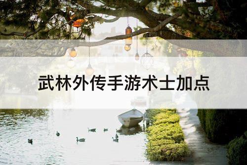 武林外传手游术士加点