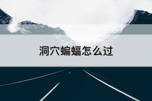 洞穴蝙蝠怎么过