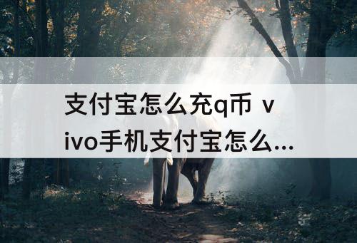 支付宝怎么充q币 vivo手机支付宝怎么充q币