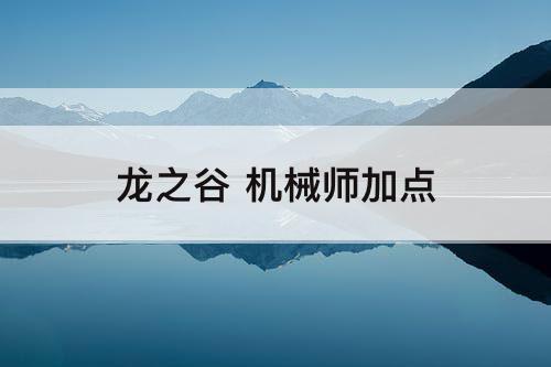 龙之谷 机械师加点