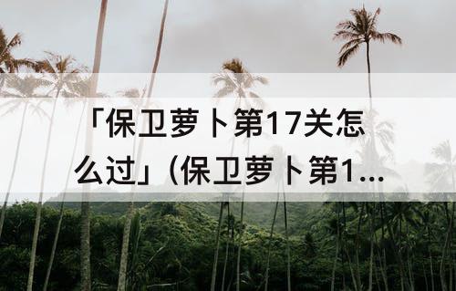 「保卫萝卜第17关怎么过」(保卫萝卜第17关怎么过第二季)