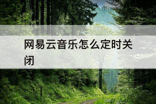 网易云音乐怎么定时关闭