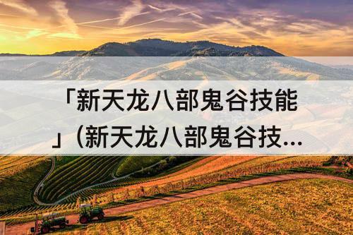 「新天龙八部鬼谷技能」(新天龙八部鬼谷技能摆放)