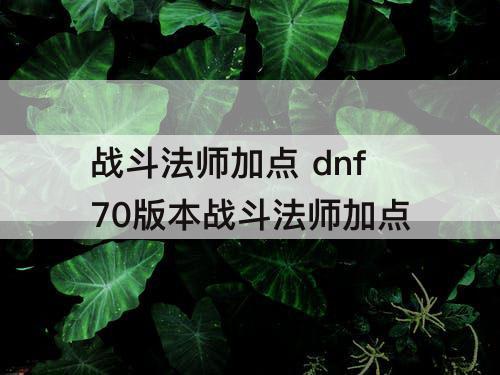 战斗法师加点 dnf70版本战斗法师加点