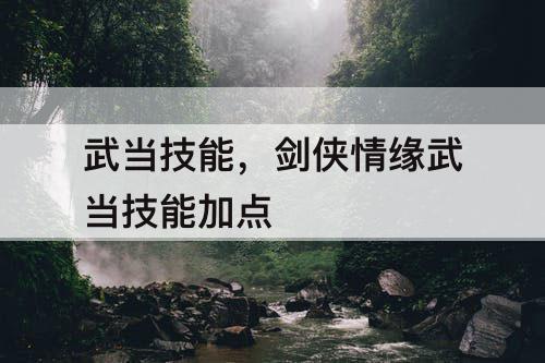 武当技能，剑侠情缘武当技能加点