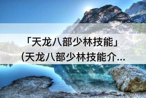 「天龙八部少林技能」(天龙八部少林技能介绍)