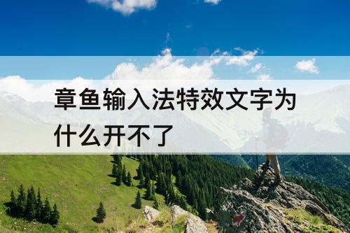 章鱼输入法特效文字为什么开不了