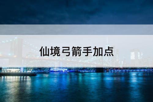 仙境弓箭手加点
