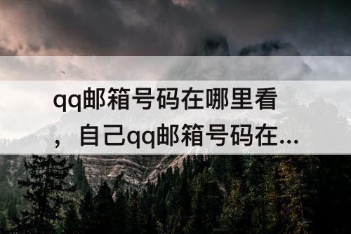qq邮箱号码在哪里看，自己qq邮箱号码在哪里看