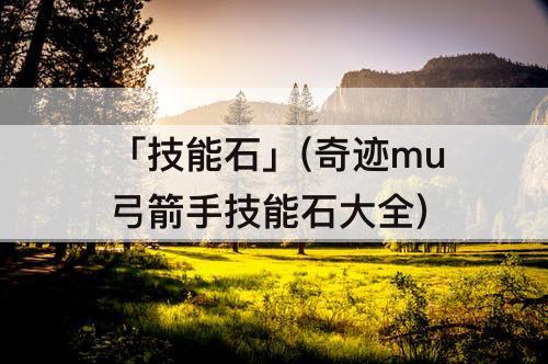 「技能石」(奇迹mu弓箭手技能石大全)
