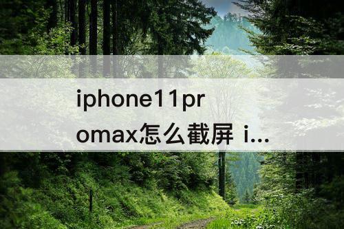 iphone11promax怎么截屏 iphone11promax怎么截屏-百度经验