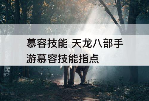 慕容技能 天龙八部手游慕容技能指点