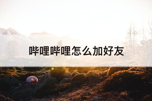 哔哩哔哩怎么加好友