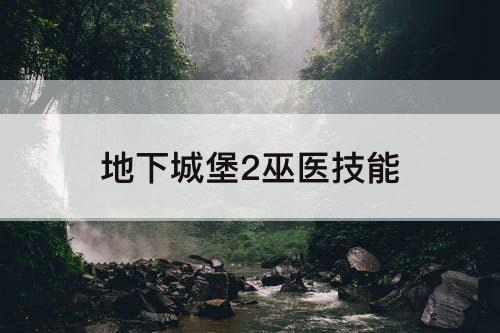 地下城堡2巫医技能