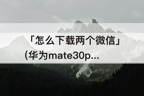 「怎么下载两个微信」(华为mate30pro怎么下载两个微信)